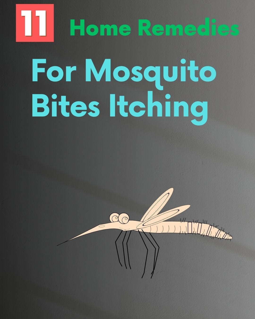11 Home Remedies For Mosquito Bites Itching Find Relief from Mosquito