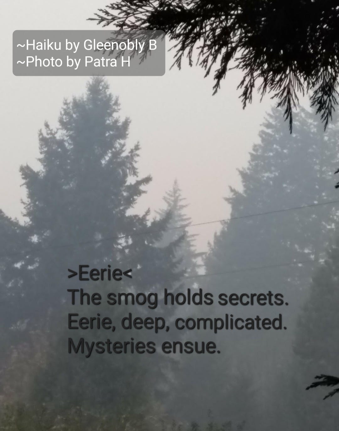 Poem Eerie Eerie The smog holds secrets. Eerie, deep, complicated(03)
