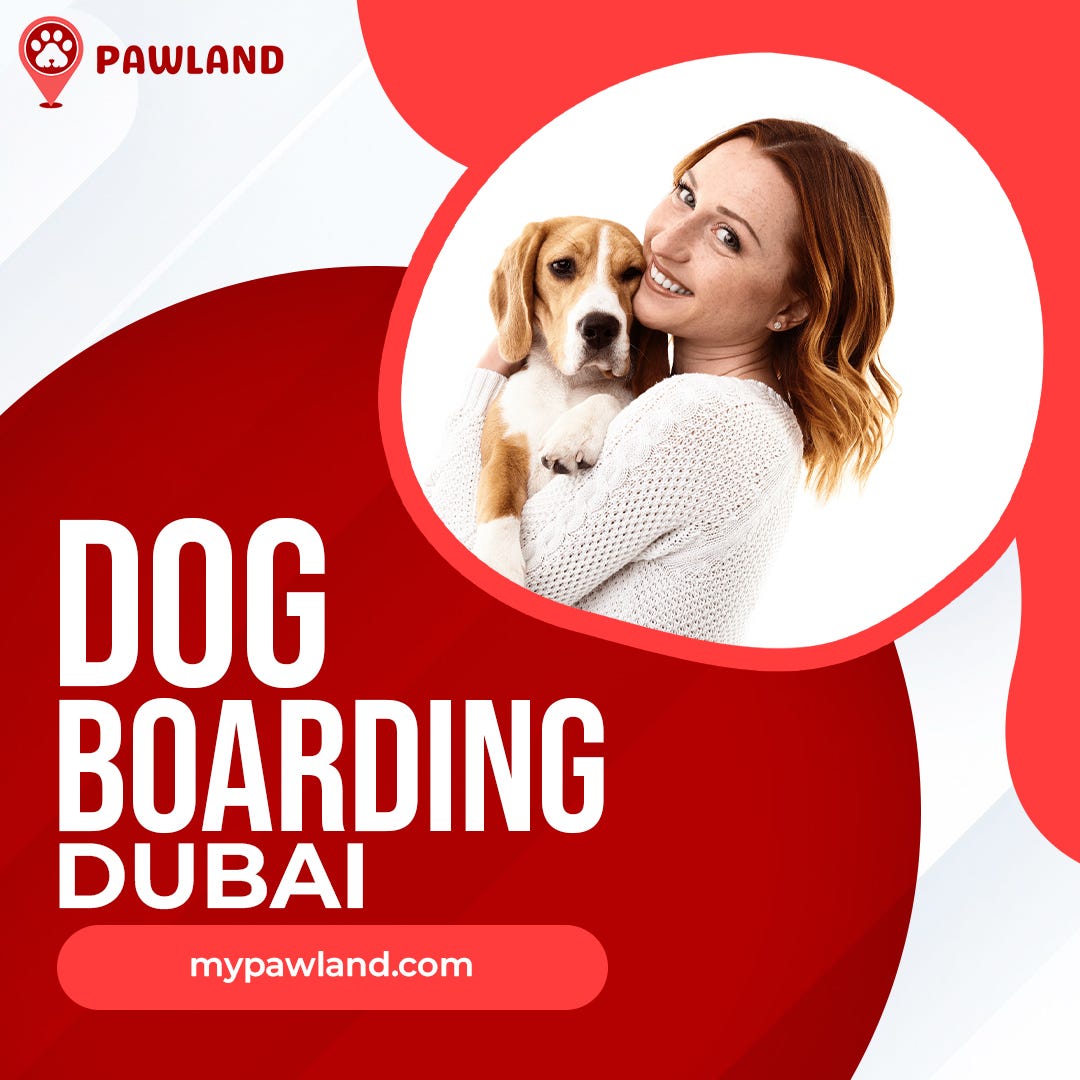 Pawland Your Trusted Choice for Luxury Dog Boarding in Dubai Pawland