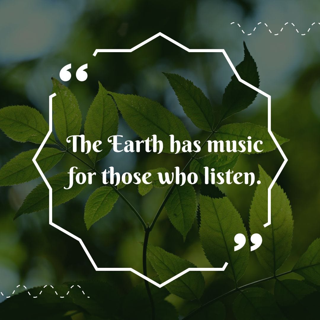 30 Nature Quotes That Inspire Wonder by Pathumchathuranga Medium