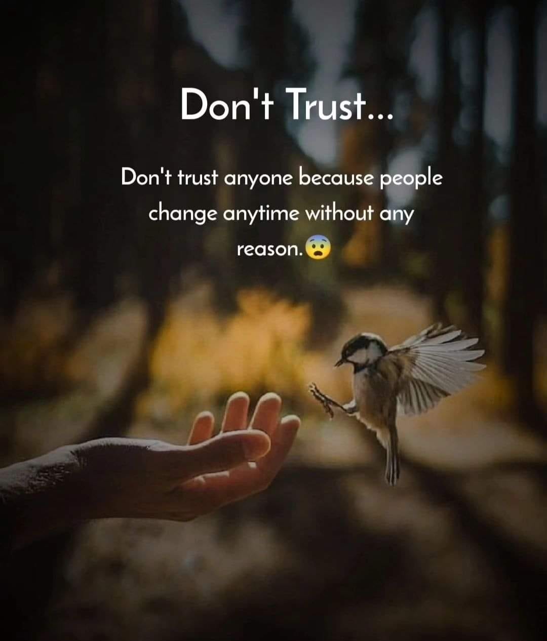 Don’t Trust Anyone The Vulnerability of Relationships and Human(04)