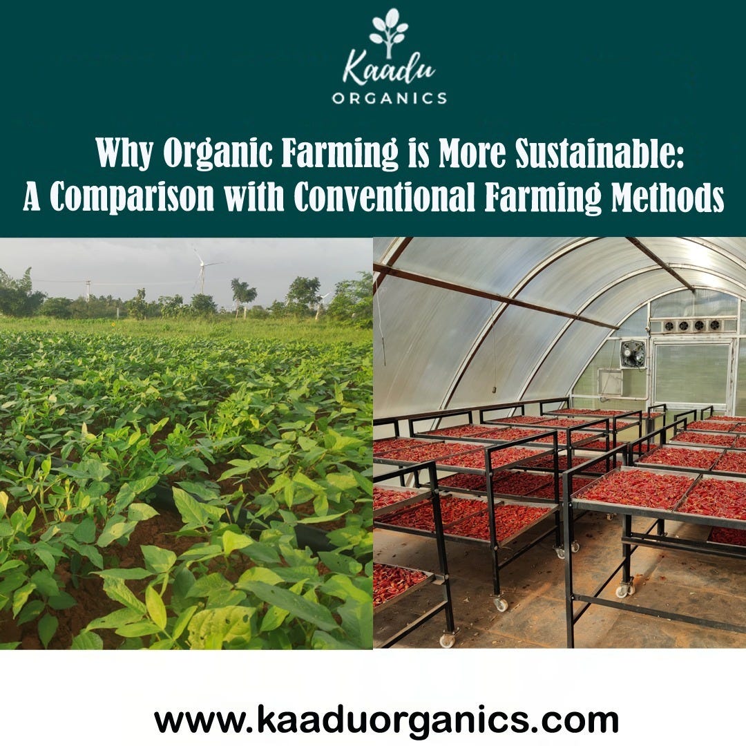 Why Organic Farming is More Sustainable A Comparison with Conventional