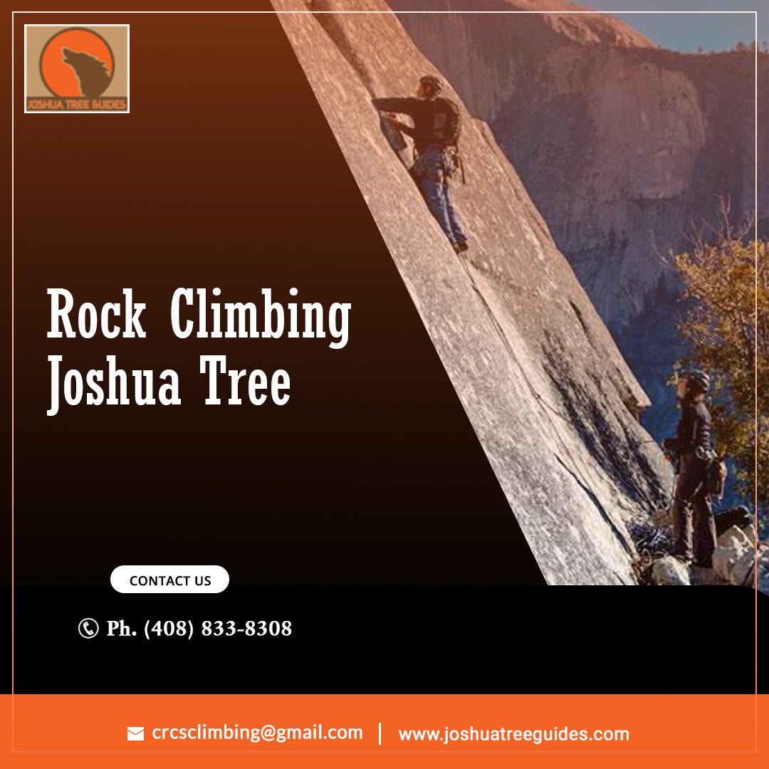 Ready to go Rock Climbing in Joshua Tree with Joshua Tree Guides? by