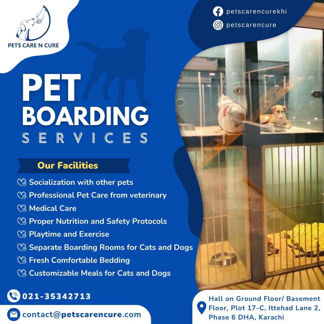 Pets Boarding in Karachi Petscarencure Medium