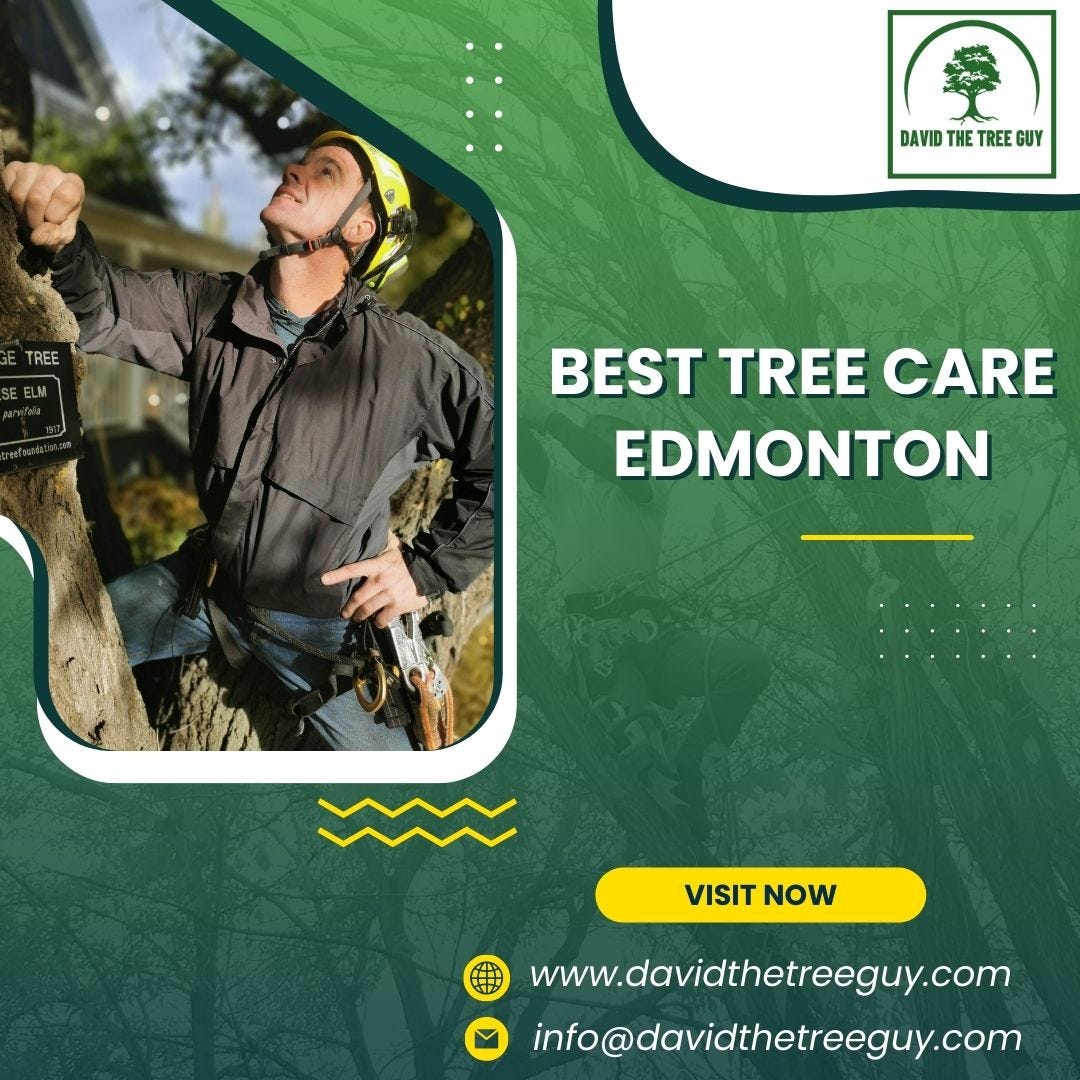 Best Tree Care Edmonton David The Tree Guy Medium