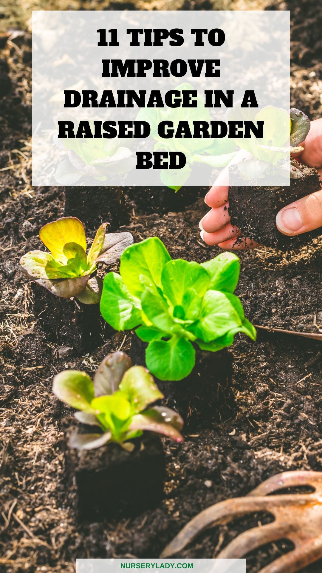 11 Tips To Improve Drainage In A Raised Garden Bed Nursery Lady Medium