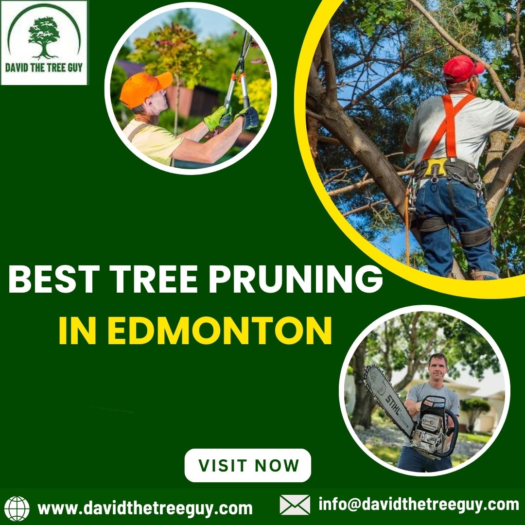 Best Tree Pruning in Edmonton David The Tree Guy Medium