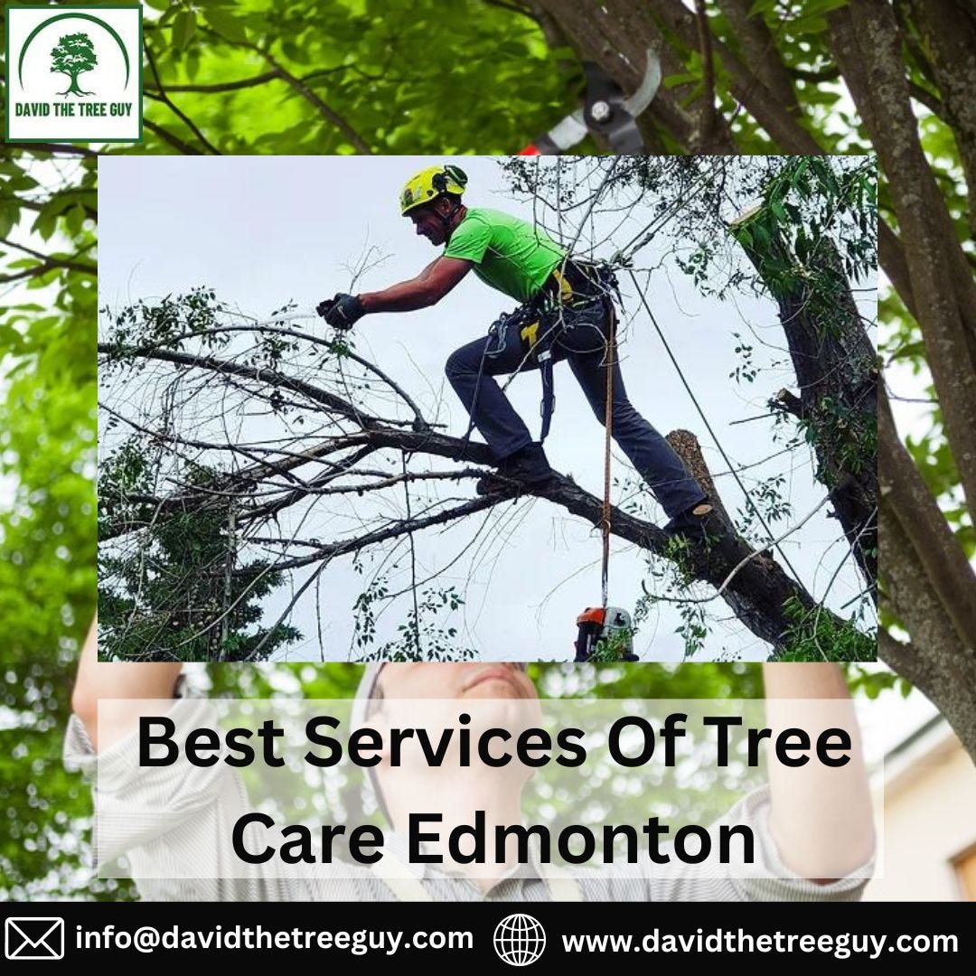 Best Services Of Tree Care Edmonton David The Tree Guy Medium