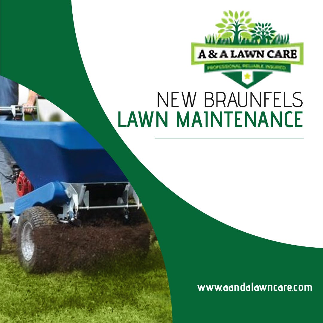Choosing the Right Grass and Keeping Fleas Away from Your Lawn by A&A