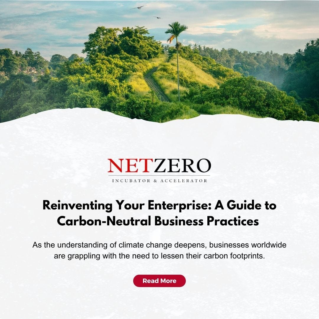 Reinventing Your Enterprise A Guide to CarbonNeutral Business