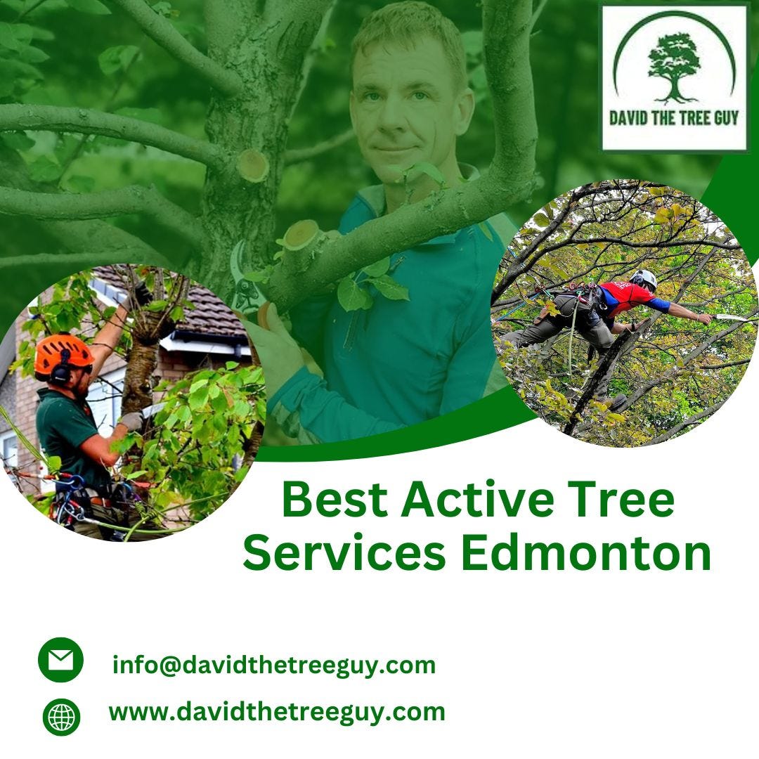 Best Active Tree Services Edmonton David The Tree Guy Medium