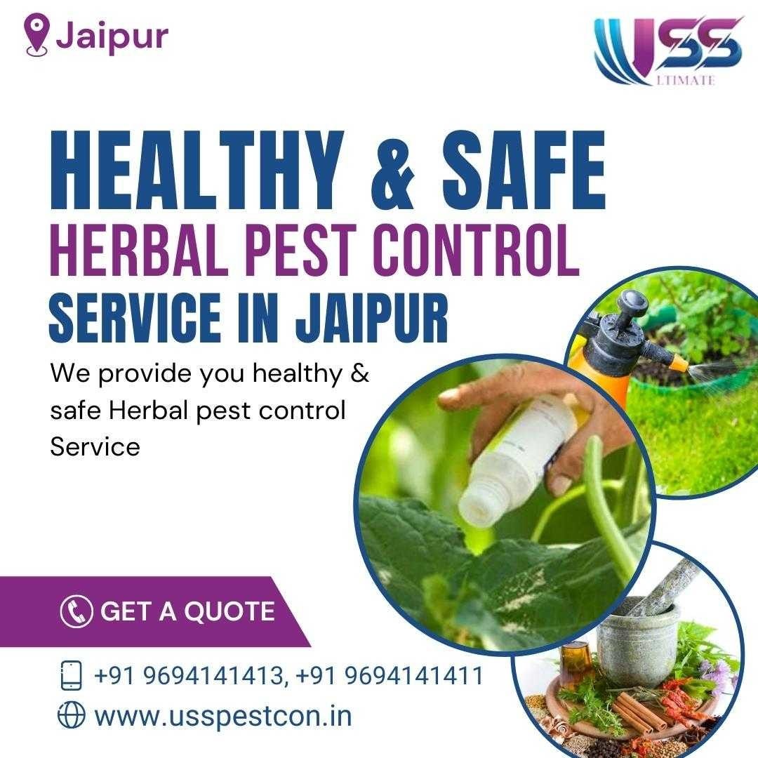 Effective Pest Control Solutions in Jaipur and India A Comprehensive