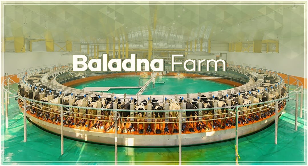 Sick of the City Life? Experience Farm Life at Baladna Farms in Qatar