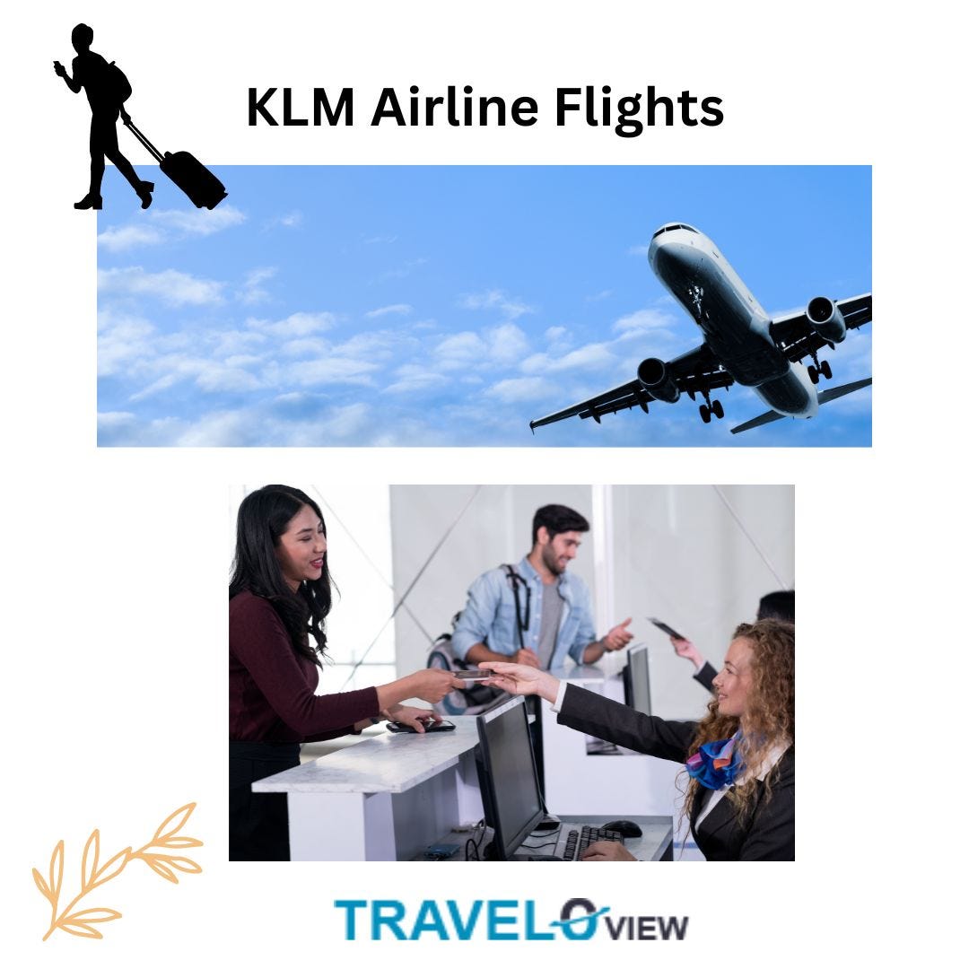 KLM Airline Baggage Policy All That You Need To Know by Traveloview