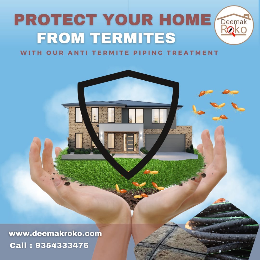 🏡 Protect Your Home from Termites with Deemak Roko’s AntiTermite