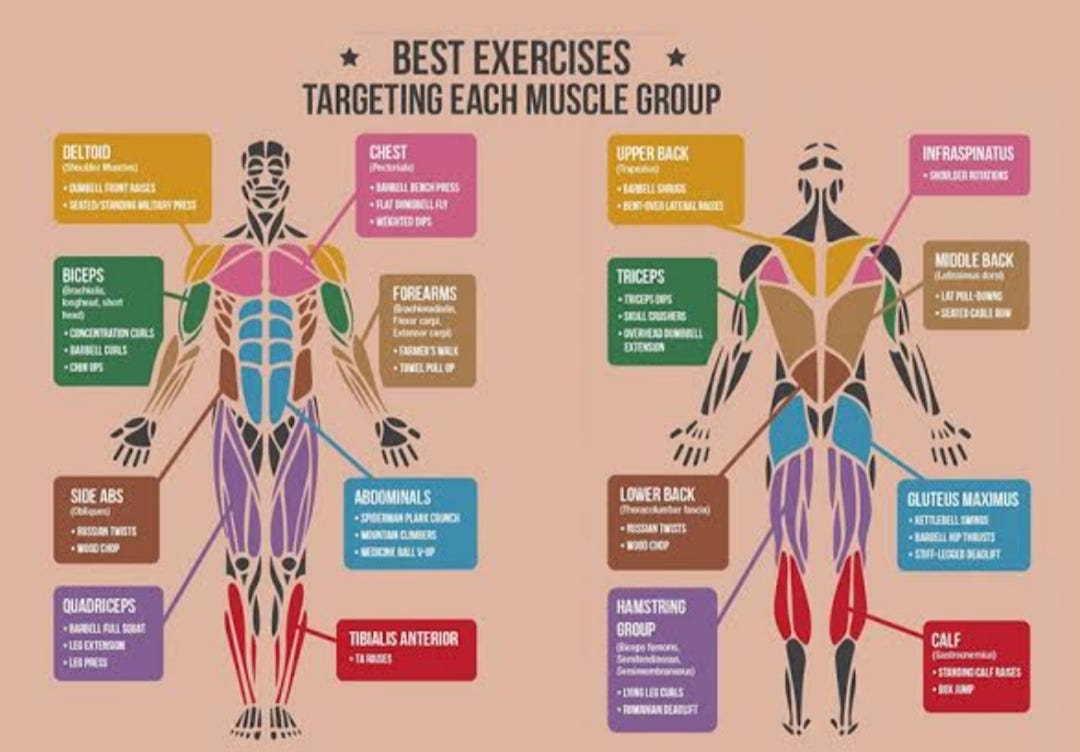 What are some lesserknown exercises that target specific muscle groups