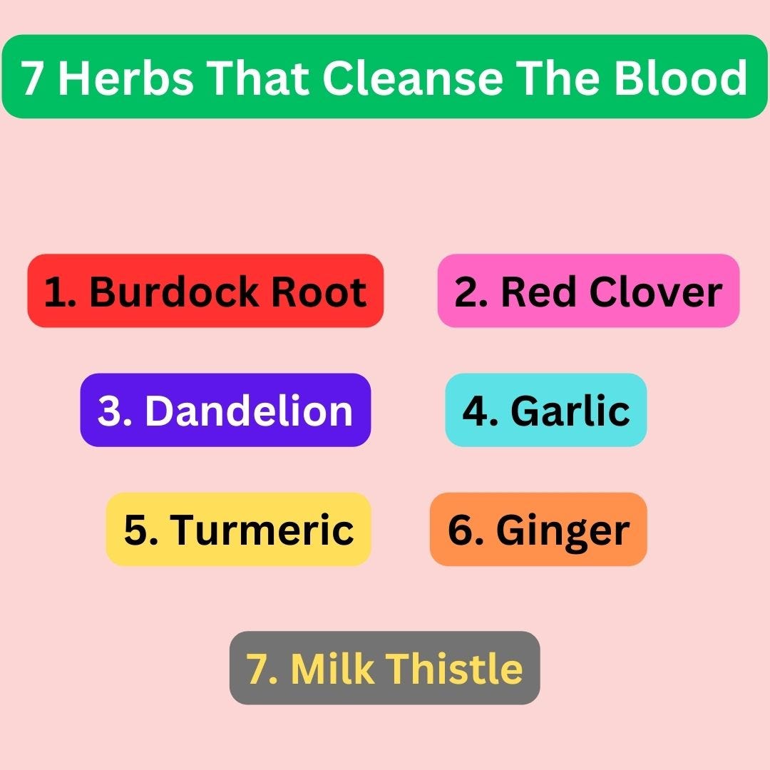 7 Powerful Herbs to Naturally Cleanse Your Blood A Complete Guide by