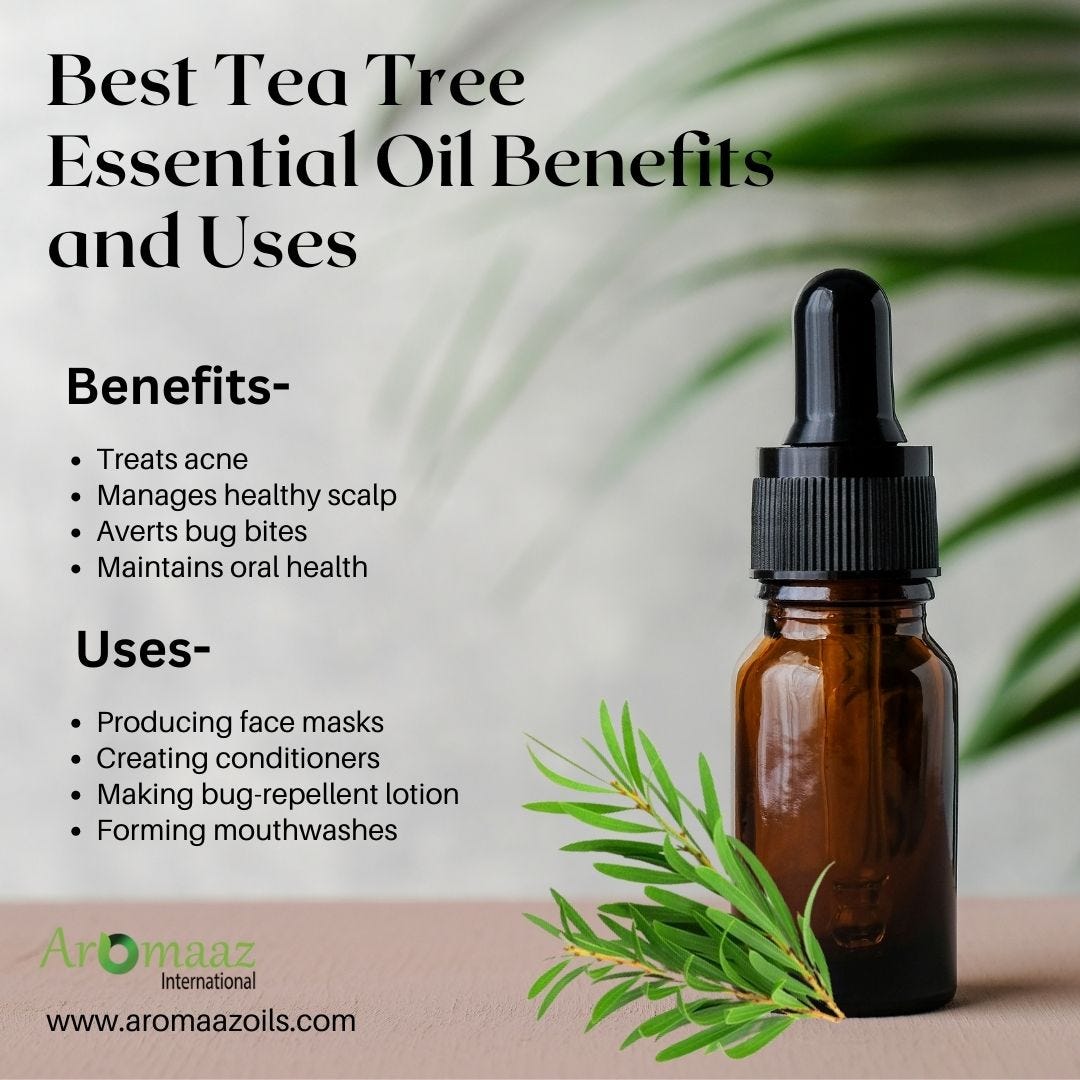 Best Tea Tree Essential Oil Benefits and Uses — Aromaaz Oils Aromaaz