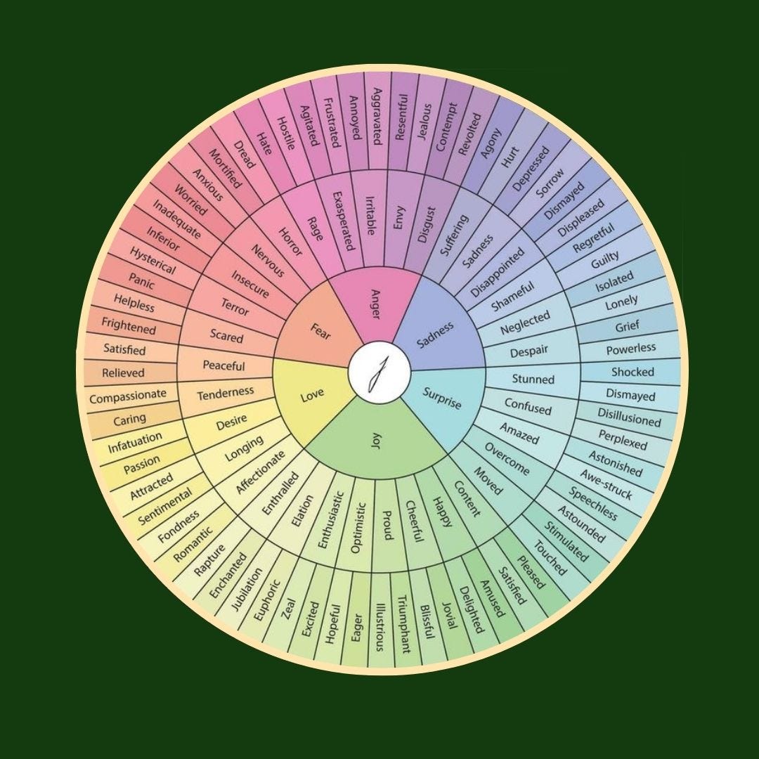 What is the Emotion Wheel, and How Can it Level up Your Marketing? by