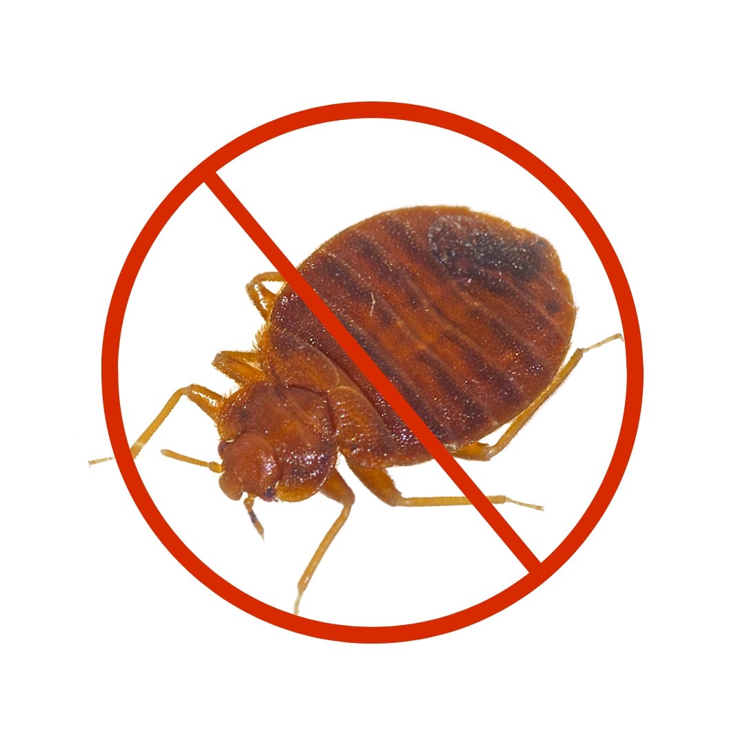 Bed Bugs pest control services Don’t Let the Bed Bugs Bite by Expert