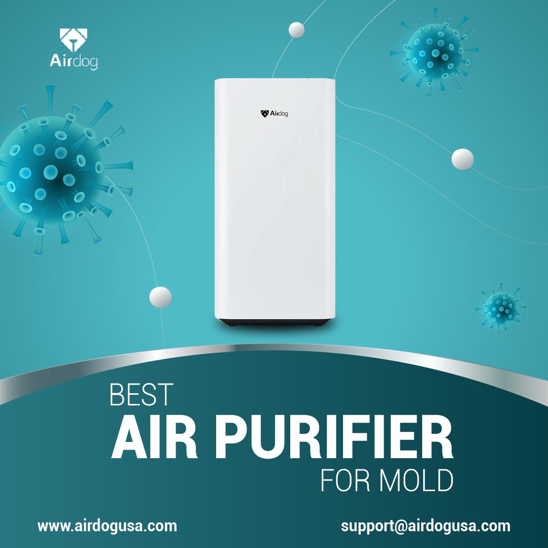 Best Air Purifier for Mold Airdog’s Ultimate Solution Airdogusa Medium