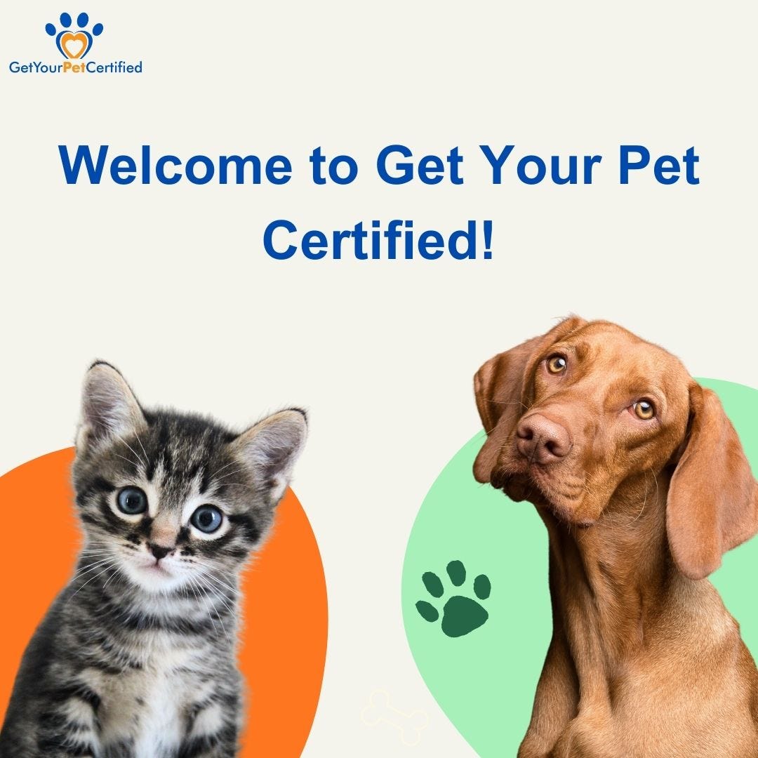to Get Your Pet Certified! by Rosy Jocasta Jul, 2023 Medium