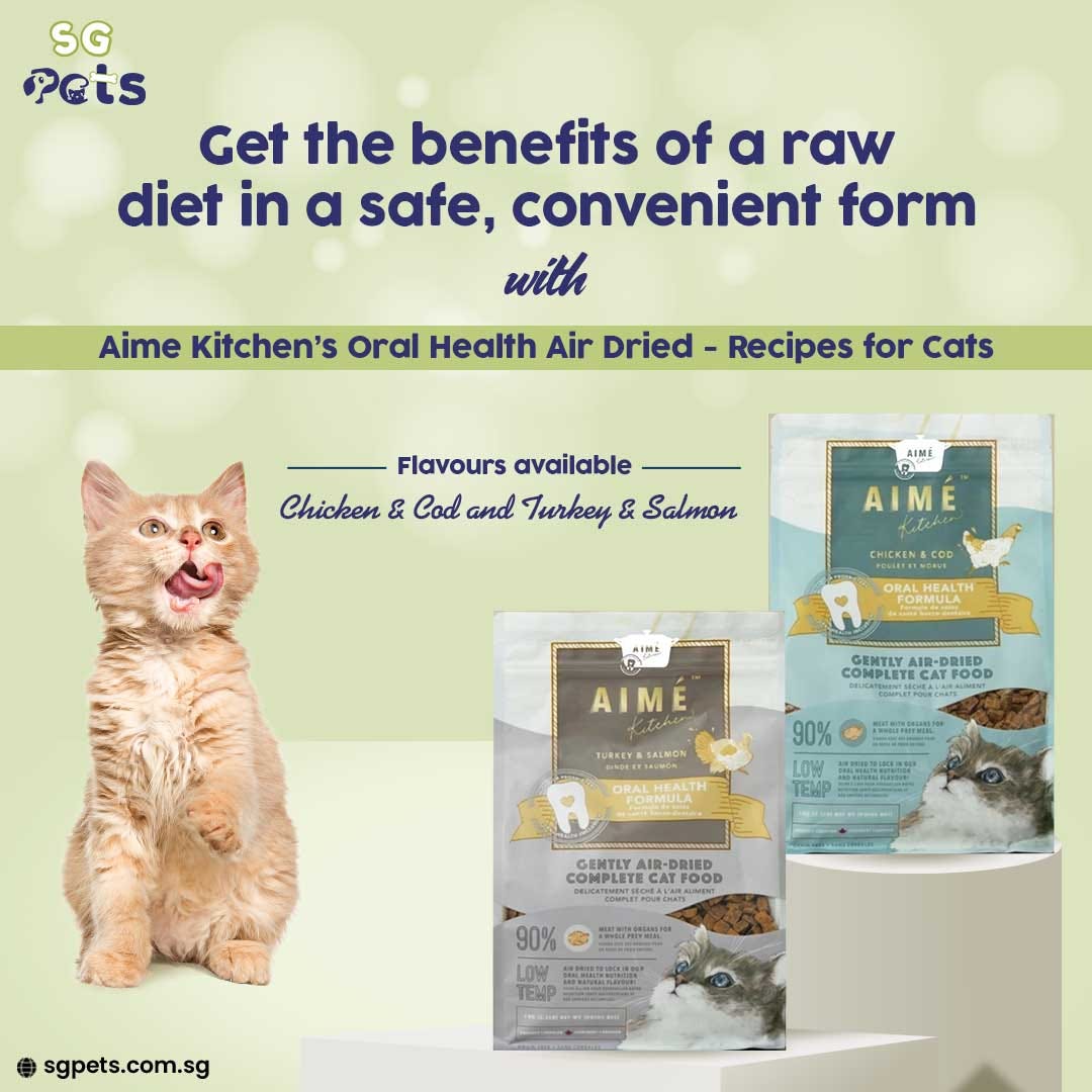 SG Pets Right Place To Buy Pet Food Singapore by Sg Pets Medium