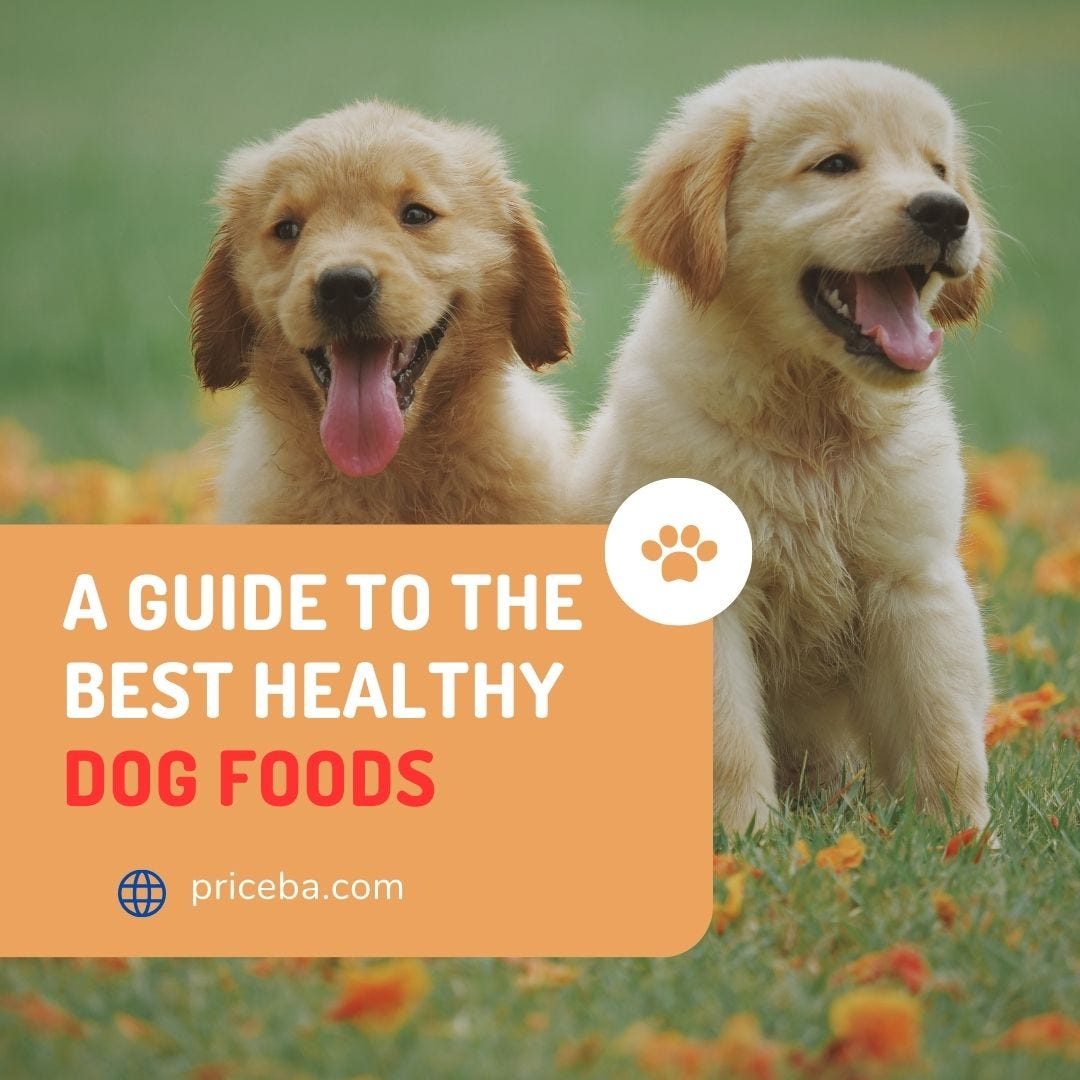 A Guide To The Best Healthy Dog Foods by priceba Sep, 2023 Medium