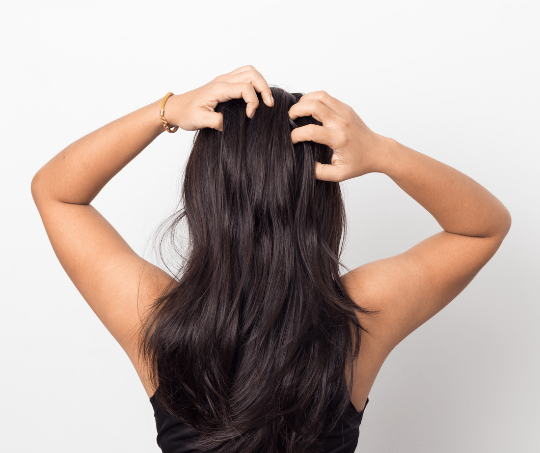 How Black Seed Oil Helps Combat Scalp Issues by BOOST'D Nutrition