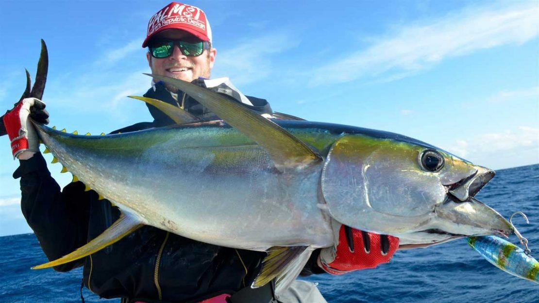 Baits or Lures Which Is Best to Use? by Ocean Blue Medium