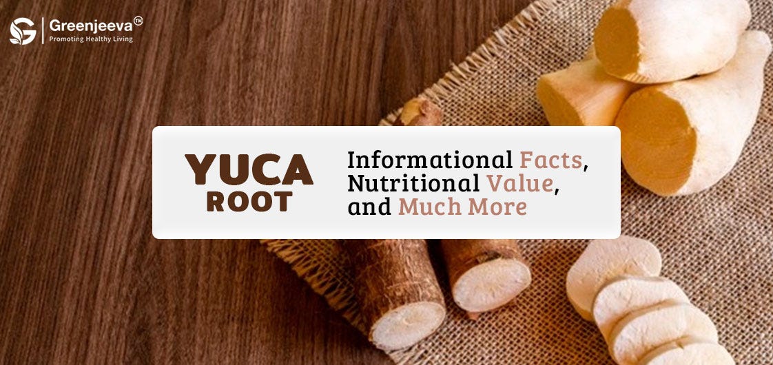 Yuca Root — Informational Facts, Nutritional Value, and Much More by