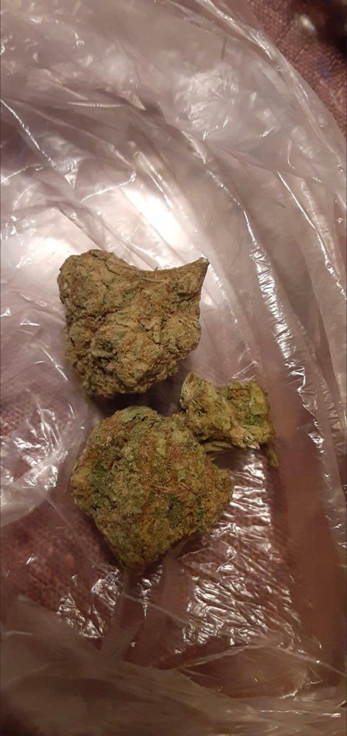 Blue Dragon Marijuana strain. Blue Dragon Marijuana strain is an… by Tammy Olsen Medium