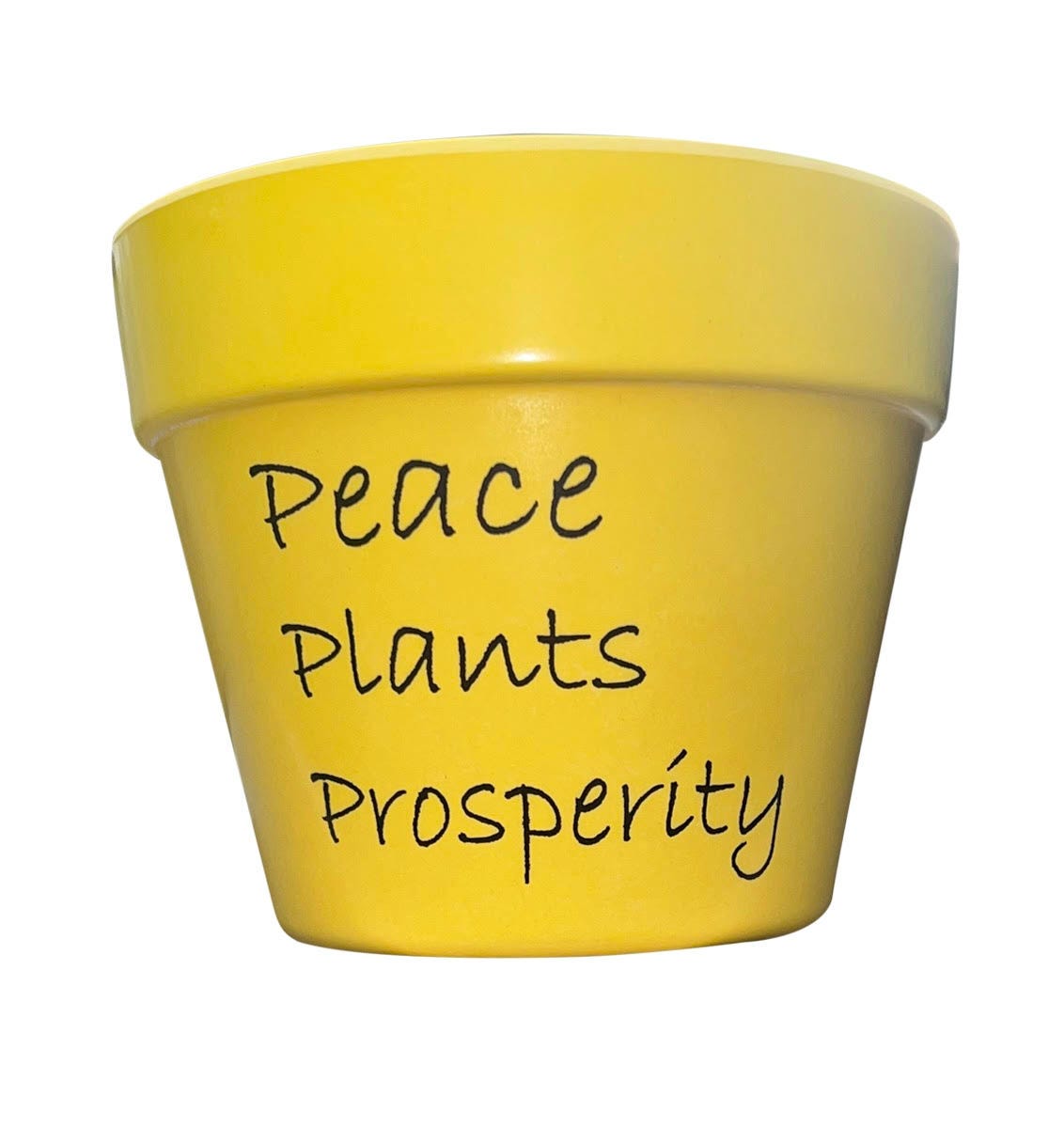 How to choose the right plant pot for your garden? by
