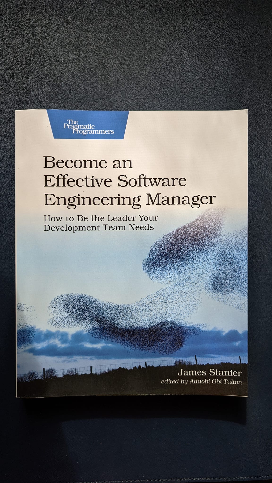 [Book Reviews] an Effective Software Engineering Manager by Thanaphoom Babparn Medium