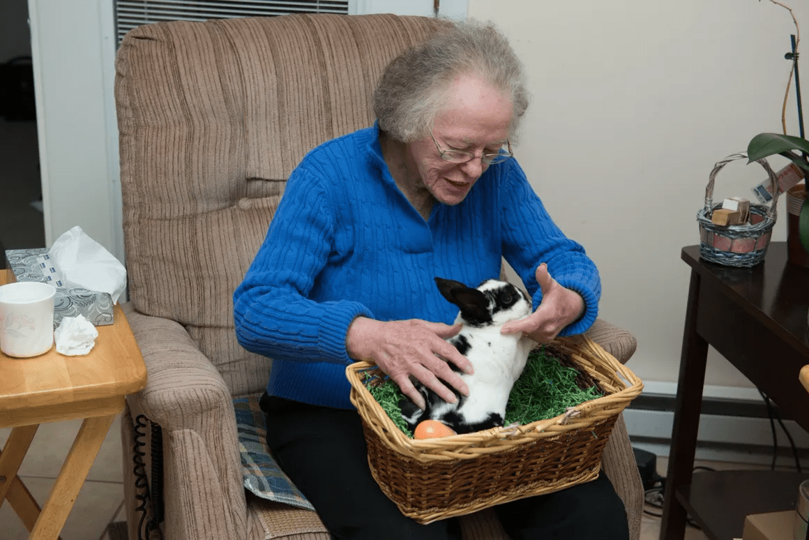 Comprehensive Care Options for Elders at Avon Lake by