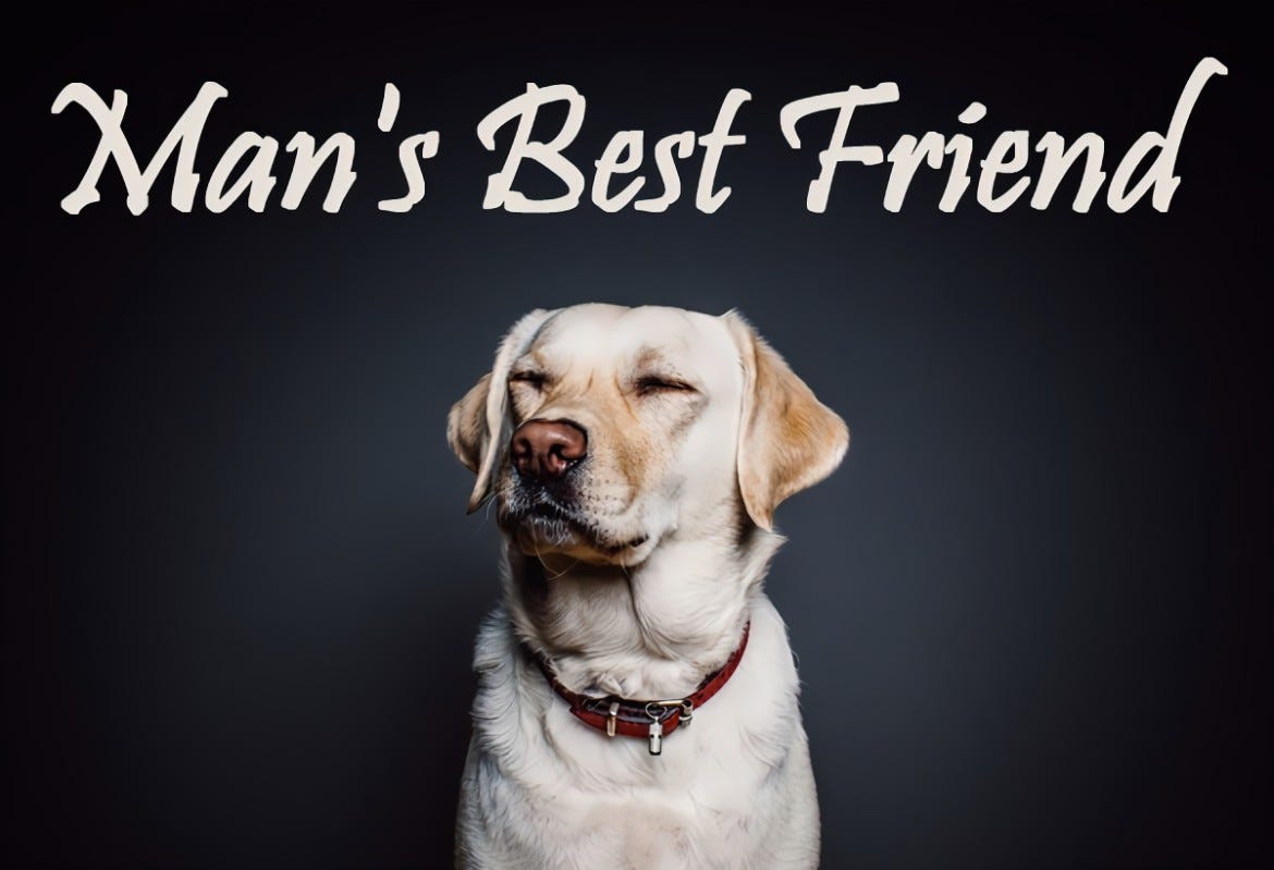 Unconditional Love and Loyalty Why Dogs are a Man’s Best Friend? by