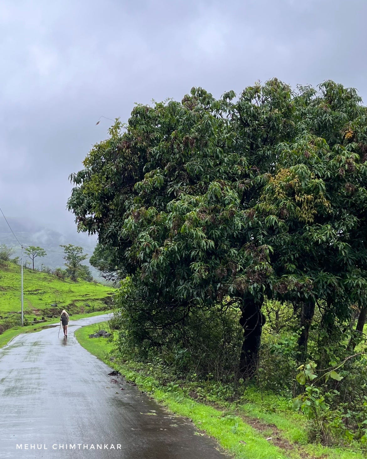 The first monsoon shower always makes me happy. It’s a sign of