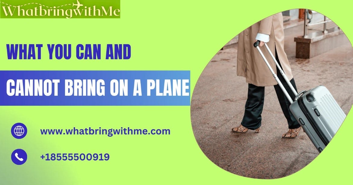 TSA Guidelines What You Can and Cannot Bring on a Plane by