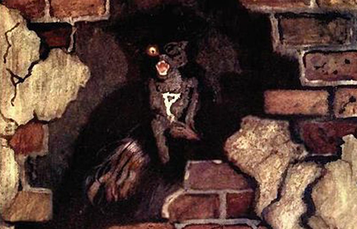 Analyzing Unreliable Narrator in The Black Cat by Edgar Allan Poe by