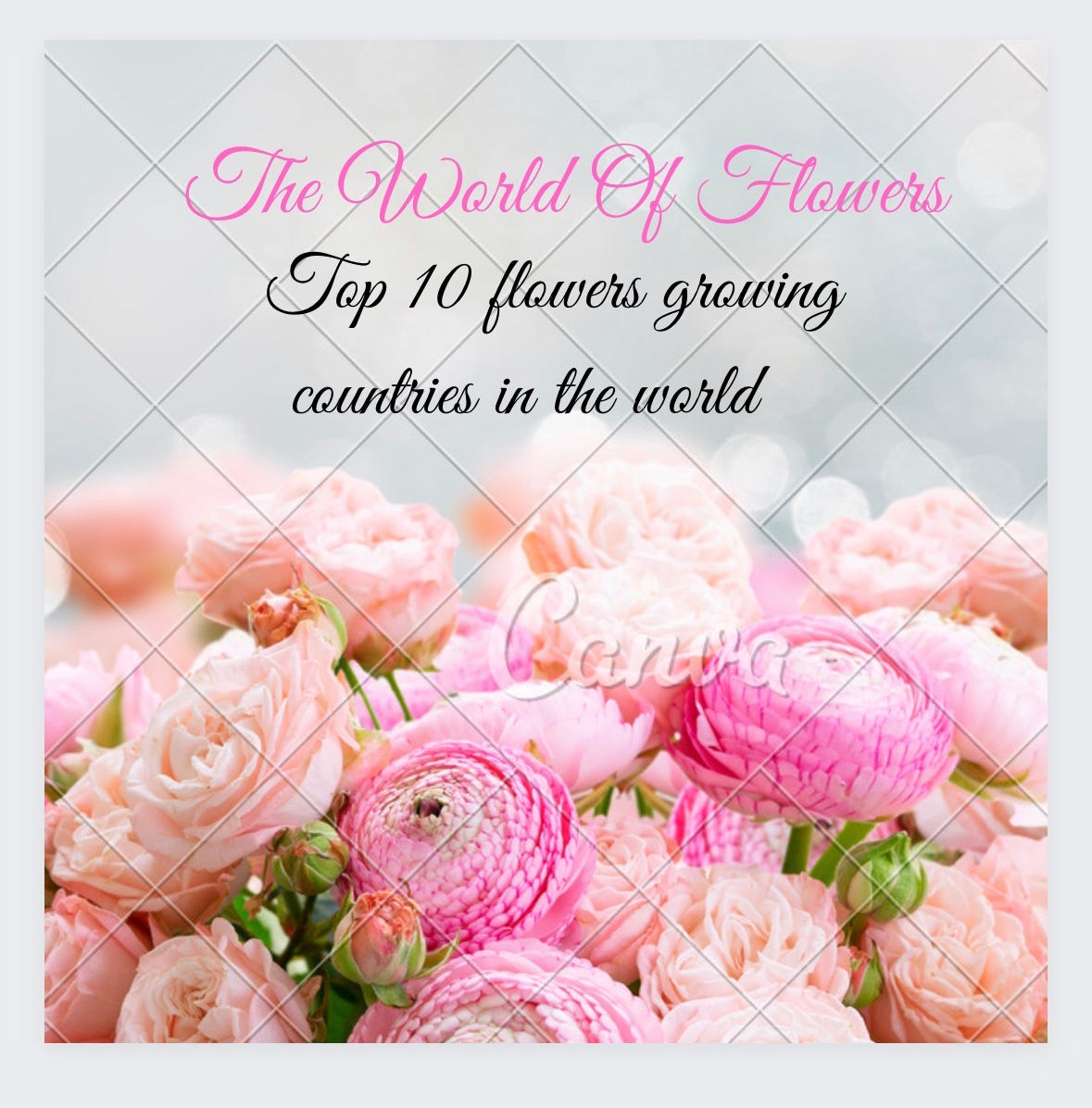 Top ten flowergrowing countries in the world, their production