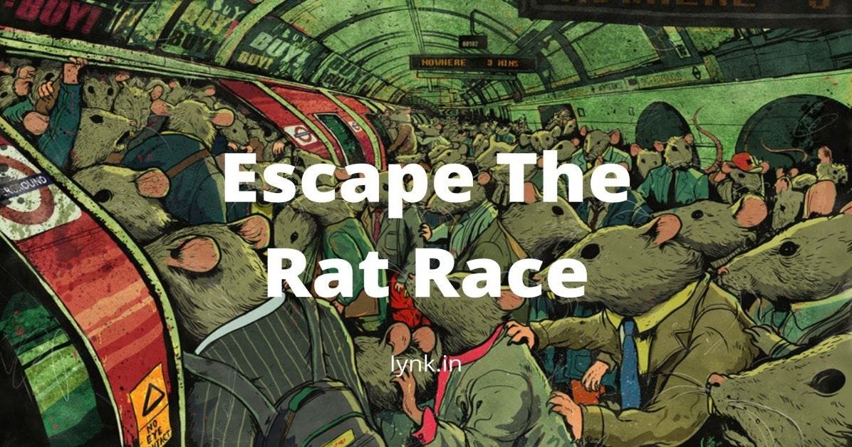 Rat Run 2024 The Rat Race a modern paradox. State of the art selfimprovement… by