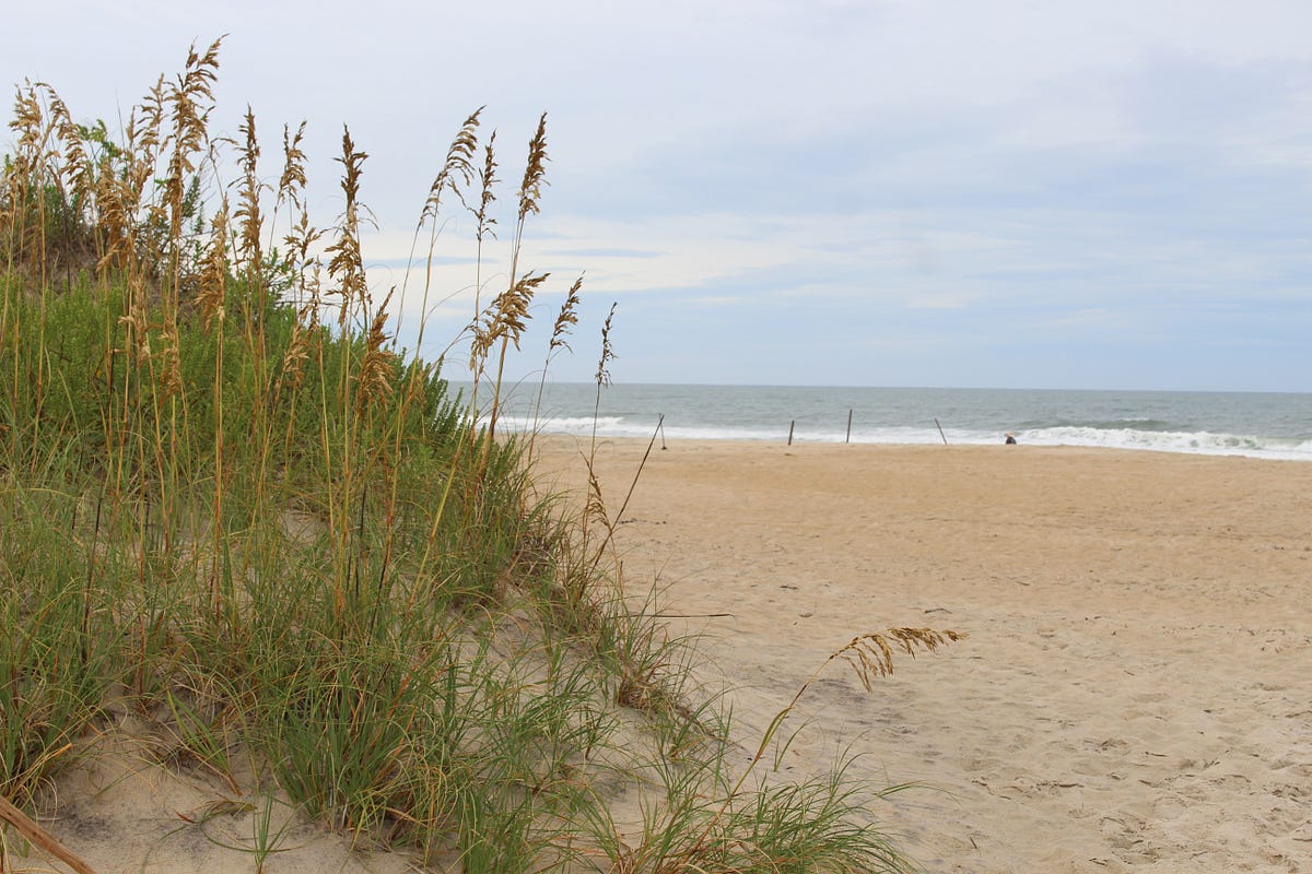 Cape Hatteras National Seashore, North Carolina A Coastal Haven That