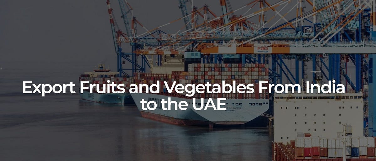 Export Fruits and Vegetables From India to the UAE by Ninja Global