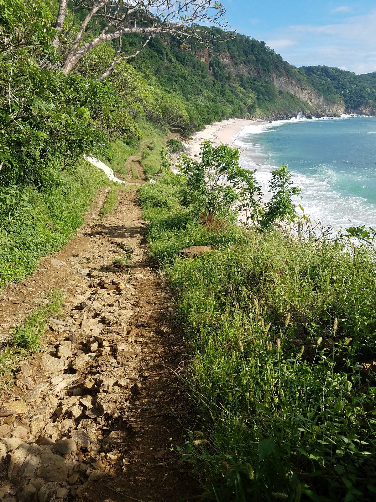 Exploring the Costs of Purchasing Land and Building a House in