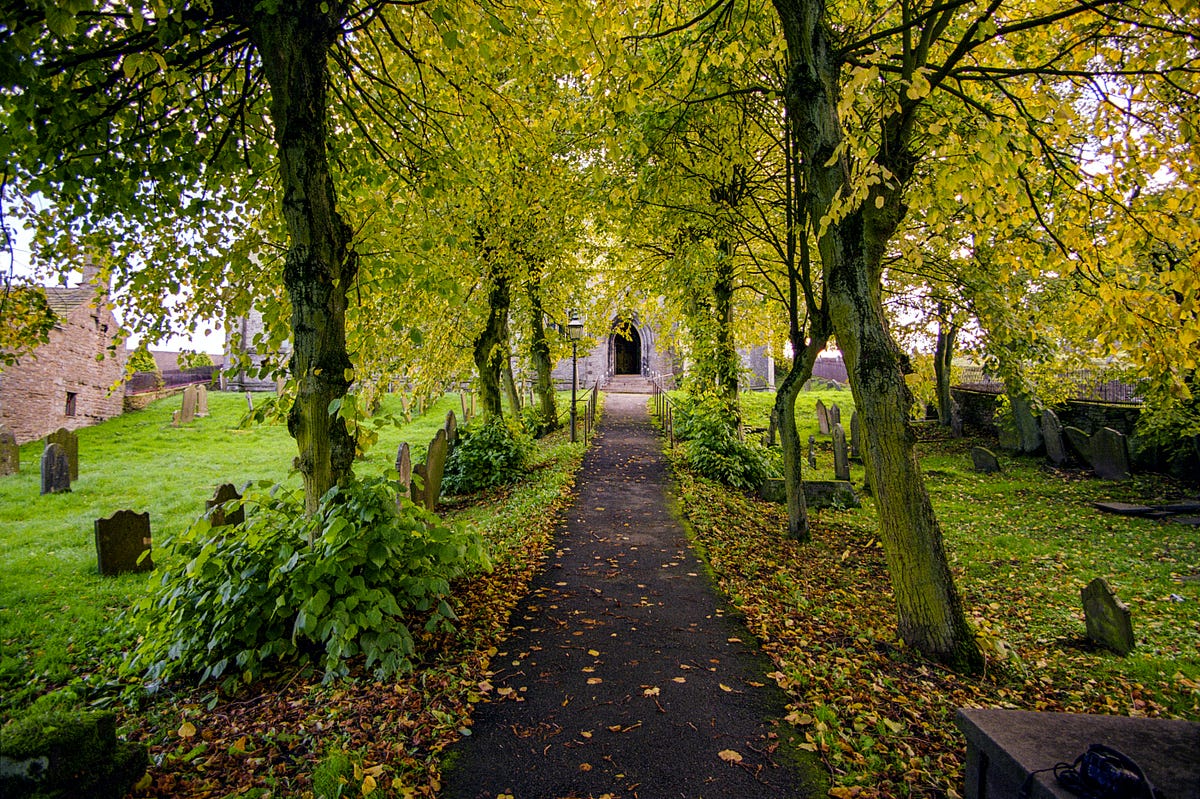 Metacognition Helps To Deal with Trauma — Two Recent Deaths Rattling Me