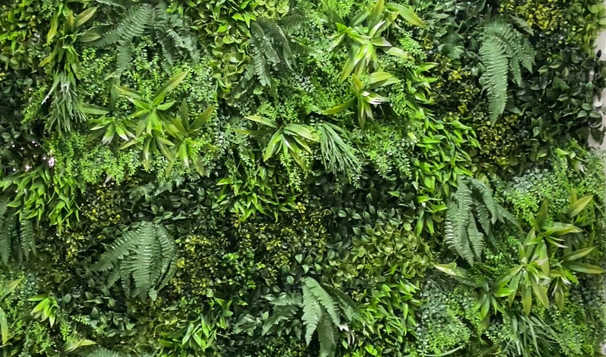 Greenscape Design Transforming Bangalore with Artificial Vertical