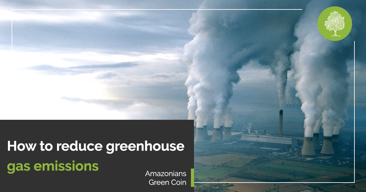 How to reduce greenhouse gas emissions by Amazonians Green Coin Medium