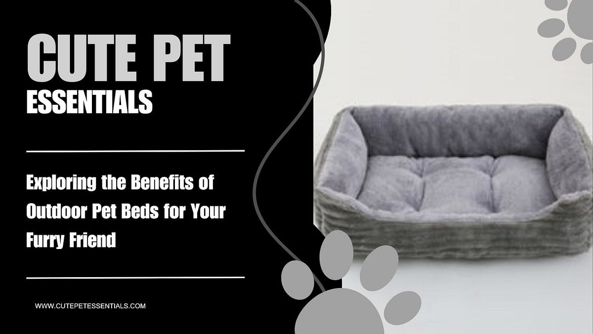 Exploring the Benefits of Outdoor Pet Beds for Your Furry Friend by