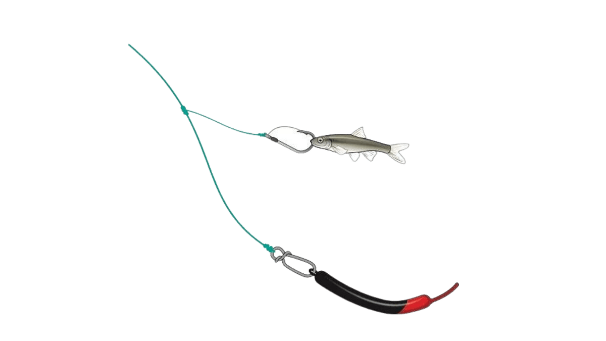 Deep Brush Rig The Fishing Magazine Danny P Medium