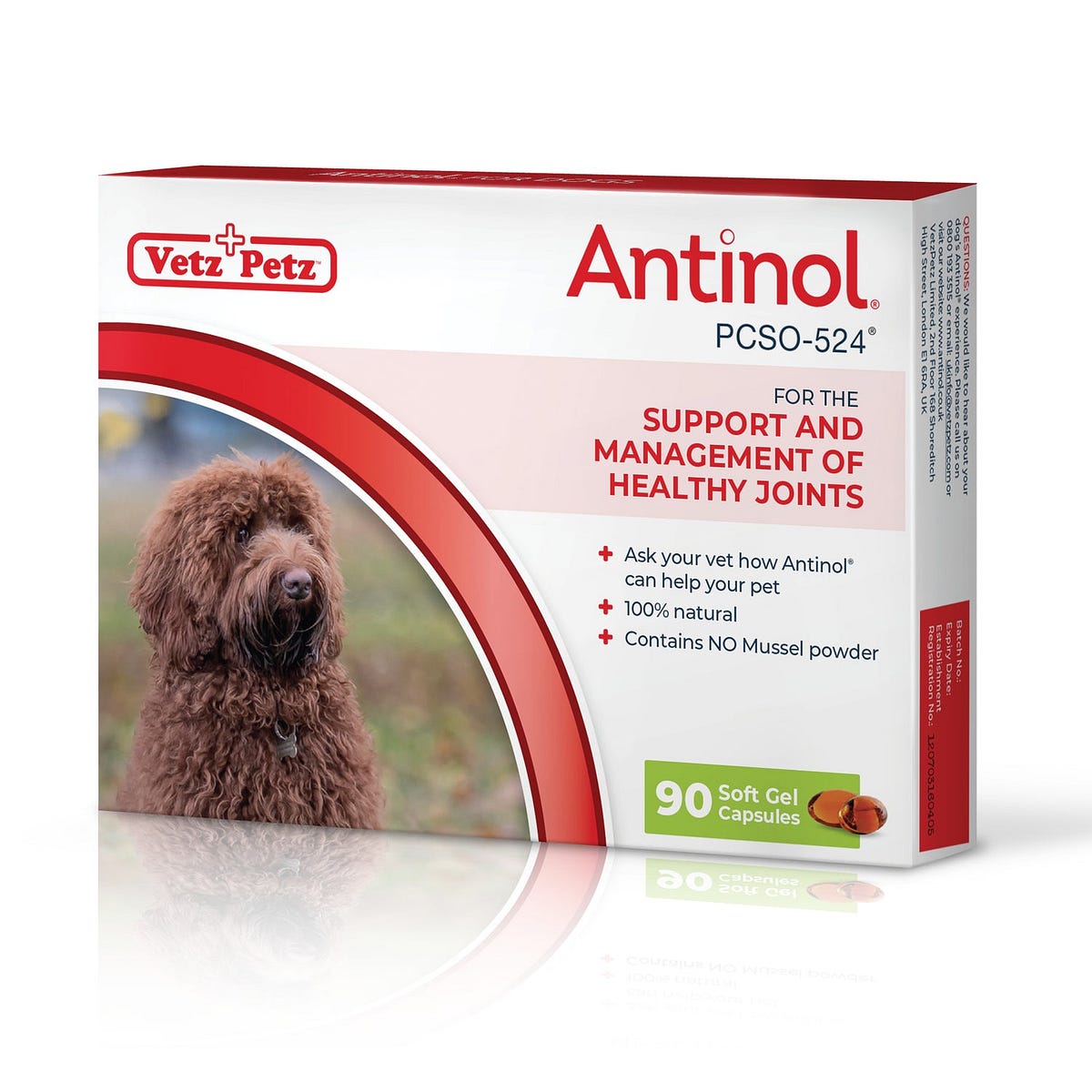 What is Good Arthritis Medicine For Dogs? by Thomas Arlo Medium